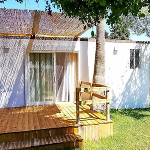 https://apartamento-mery-oliva.es-andalucia.com
